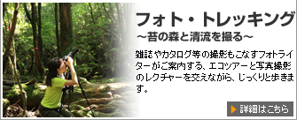フォト・トレッキング