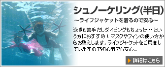 シュノーケリング(半日)