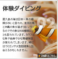 体験ダイビング