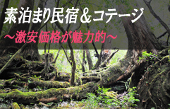 素泊まり民宿＆コテージ　～激安価格が魅力的～
