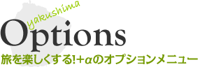 Options 旅を楽しくする！＋αのオプションメニュー