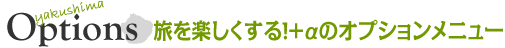 旅を楽しくする!+αのオプションメニュー