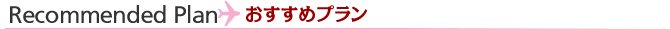 おすすめプラン