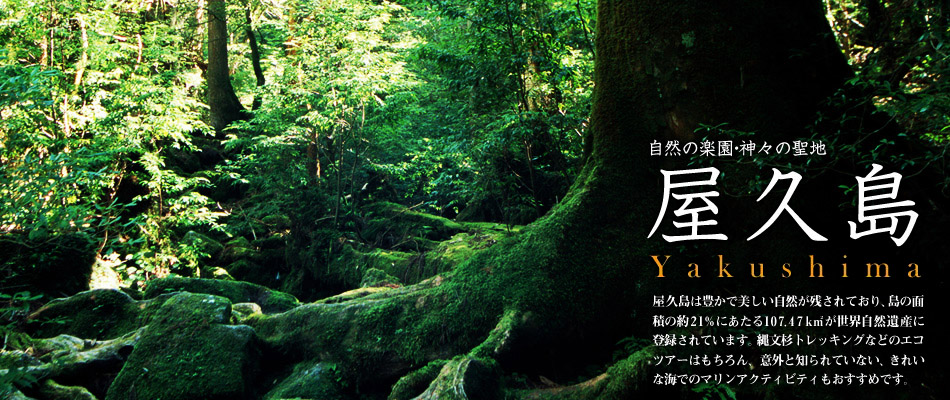 自然の楽園・神々の聖地　屋久島