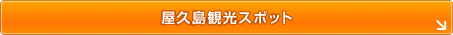 屋久島観光スポット