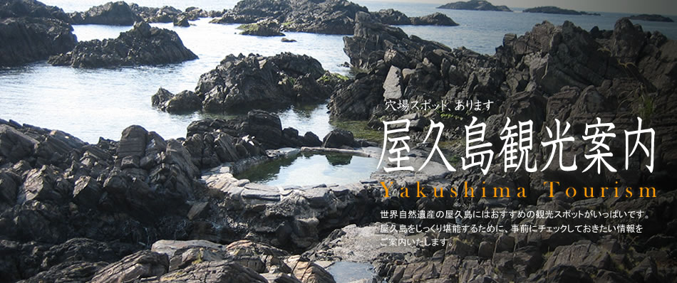 世界自然遺産の屋久島にはおすすめの観光スポットがいっぱいです。屋久島をじっくり堪能するために、事前にチェックしておきたい情報をご案内します。