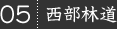 05.西部林道