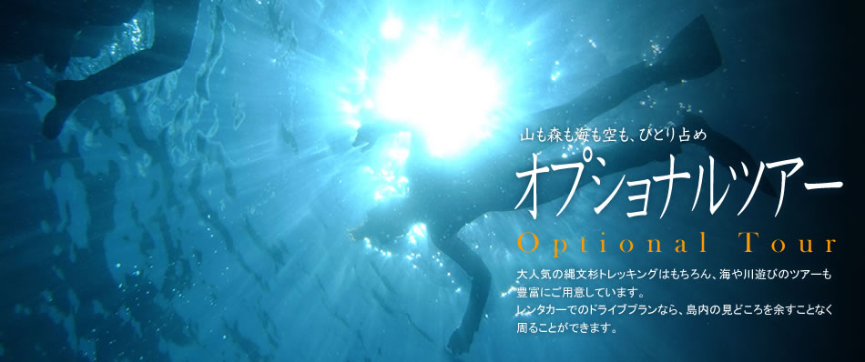大人気の縄文杉トレッキングはもちろん、海や川遊びのツアーも豊富にご用意しています。レンタカーのドライブプランなら、島内の見所を余すことなく周ることができます。