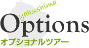 オプショナルツアース