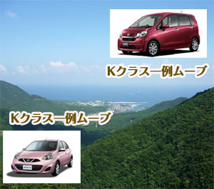レンタカーオプション
