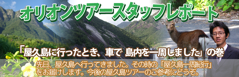 オリオンツアースタッフレポート