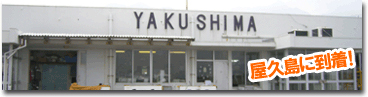 屋久島に到着！