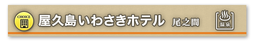 屋久島いわさきホテル 尾之間