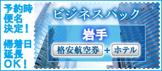 往復航空券+ホテル１泊　ビジネスパック東北