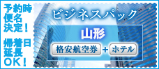 往復航空券＋ホテル１泊　ビジネスパック