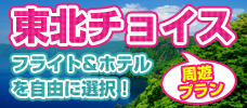 東北周遊プラン　空港・フライト・ホテルを選択可能！