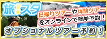 オプショナルツアー