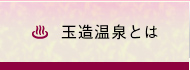 玉造温泉とは