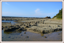 石見畳ヶ浦