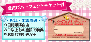 縁結びパーフェクトチケット付きプラン