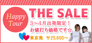 THE SALE お値打ち価格プラン