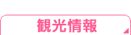 観光情報