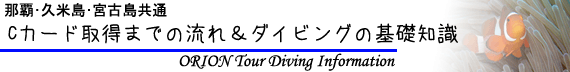 沖縄ダイビングツアー