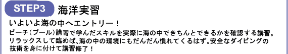 沖縄ダイビングツアー