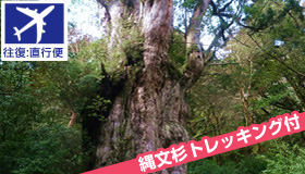 【屋久島】>【春休み旅行】1-4月発！ガイドと行く！人気の縄文杉トレッキング付♪ 屋久島民宿ステイ（食事無し）3～5日