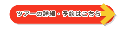 ツアー詳細・予約はコチラ