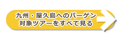 バーゲン対象ツアーをすべて見る