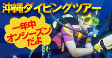 沖縄ダイビング