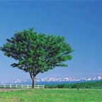 北海道ツアー