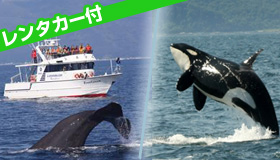 知床】【ネイチャークルージング・レンタカー付！】
クジラやシャチに会えるかも！？世界自然遺産体感の旅♪
知床ステイ　3～5日