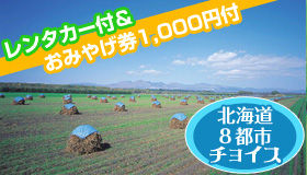 【北海道チョイス】【5-6月出発！新千歳空港×8都市チョイス】24時間予約ＯＫ！
予約時便名決定が嬉しい♪
ビジネスや観光・帰省に最適☆レンタカープラン　2-5日