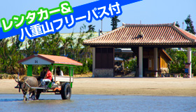【石垣島】5-6月限定！直行便で行く！石垣島　☆特典満載☆八重山フリーパス付＋レンタカー＋しまりずむクーポン付　2泊3日