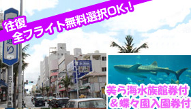 【本島/那覇】アーリーサマ―SP！【JALで行く沖縄】全フライト無料選択OK！
★美ら海水族館と琉宮城蝶々園のチケット付★
那覇市内ステイプラン　3～5日