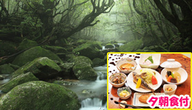 【屋久島】【5･6月スペシャル】縄文杉トレッキング付！民宿ステイ(夕朝食付)
　3～5日