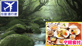 【屋久島】【5･6月スペシャル】縄文杉トレッキング付！民宿ステイ(夕朝食付)
　3～5日