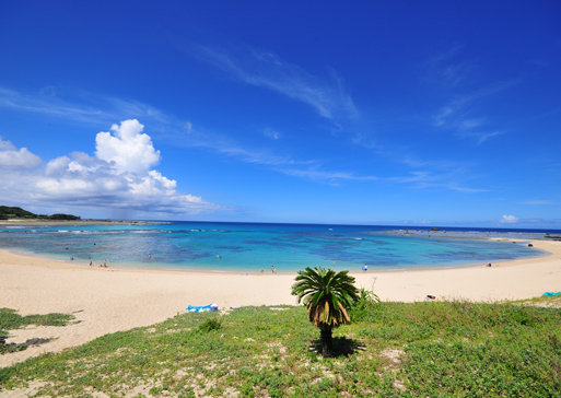 土盛海岸イメージ1