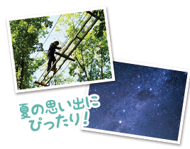 滞在中レンタカー＆お土産券も付いています。