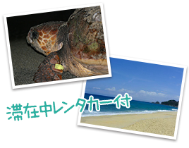 滞在中レンタカー付