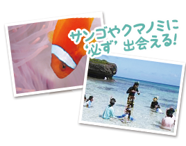 滞在中レンタカー付