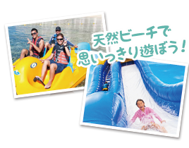 かわいいイルカに会える