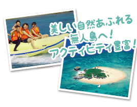 かわいいイルカに会える