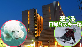 【年末・年始＆帰省】札幌ステイ 3～5日間