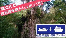 【屋久島】＜羽田発＞【9-10月ファイナルセール】売切れ御免！ガイドと行く！人気の縄文杉＆白谷雲水峡トレッキング付♪世界自然遺産 屋久島スペシャル（食事無）2泊3日～4泊5日