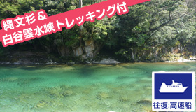 【屋久島】＜羽田発＞【9-10月ファイナルセール】売切れ御免！ガイドと行く！人気　縄文杉+白谷半日トレッキング付♪世界自然遺産 屋久島スペシャル　2泊3日～4泊5日