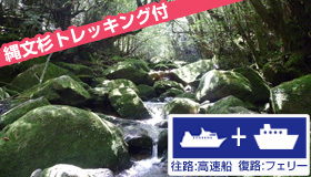 【屋久島】<羽田発>【9月出発／縄文杉1日トレッキング付】高速船/フェリー利用　縄文杉に一番近く、安房川の絶景を堪能！屋久島ステイ　2泊3日～4泊5日