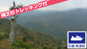 【屋久島】＜羽田発＞【9-10月ファイナルセール】ガイドと行く！人気の縄文杉トレッキング付♪ 世界自然遺産 屋久島ステイ　2泊3日～4泊5日